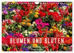 Cover-Bild zum Titel 'Blumen und Blüten (Wandkalender 2026 DIN A4 quer), CALVENDO Monatskalender' von 'Uwe Kantz'