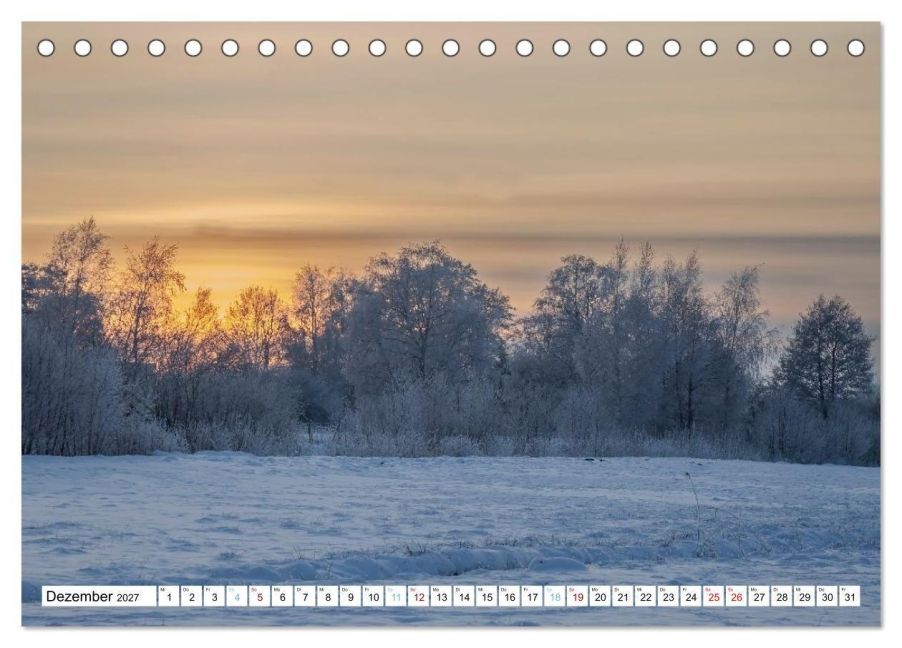 InsideView 4