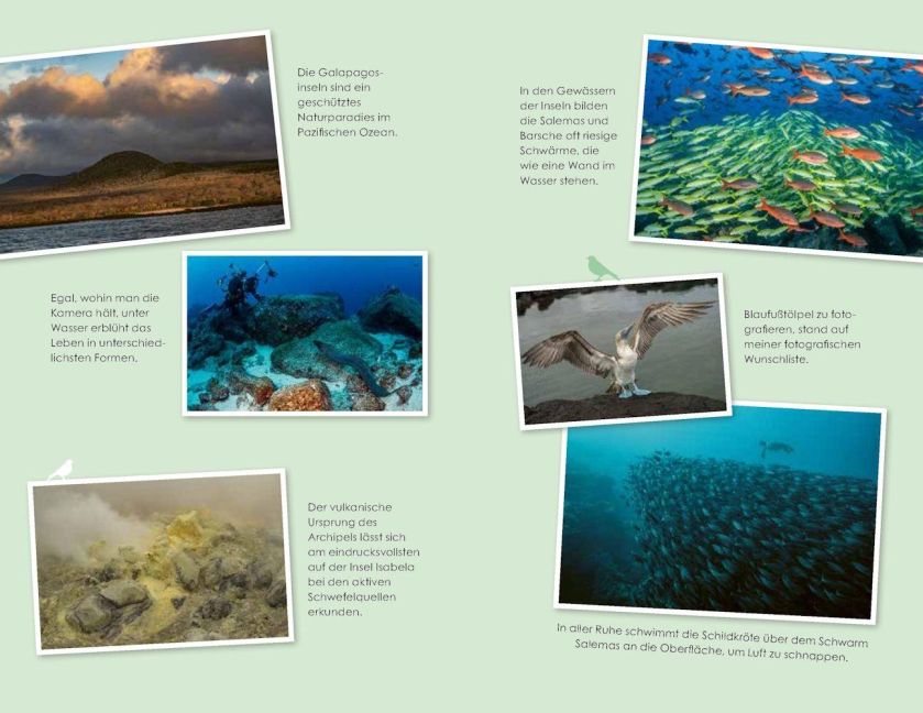 InsideView 12