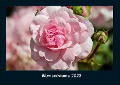 Blumenträume 2022 Fotokalender DIN A4 - Tobias Becker