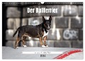 Der Bullterrier der beste Hund der Welt (Wandkalender 2024 DIN A3 quer), CALVENDO Monatskalender - Yvonne Janetzek