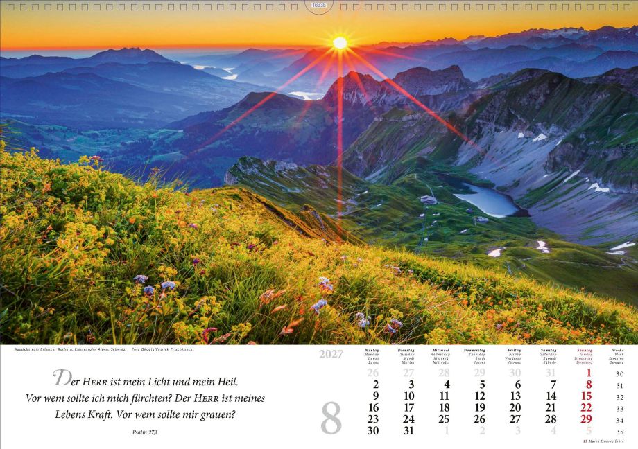 InsideView 8
