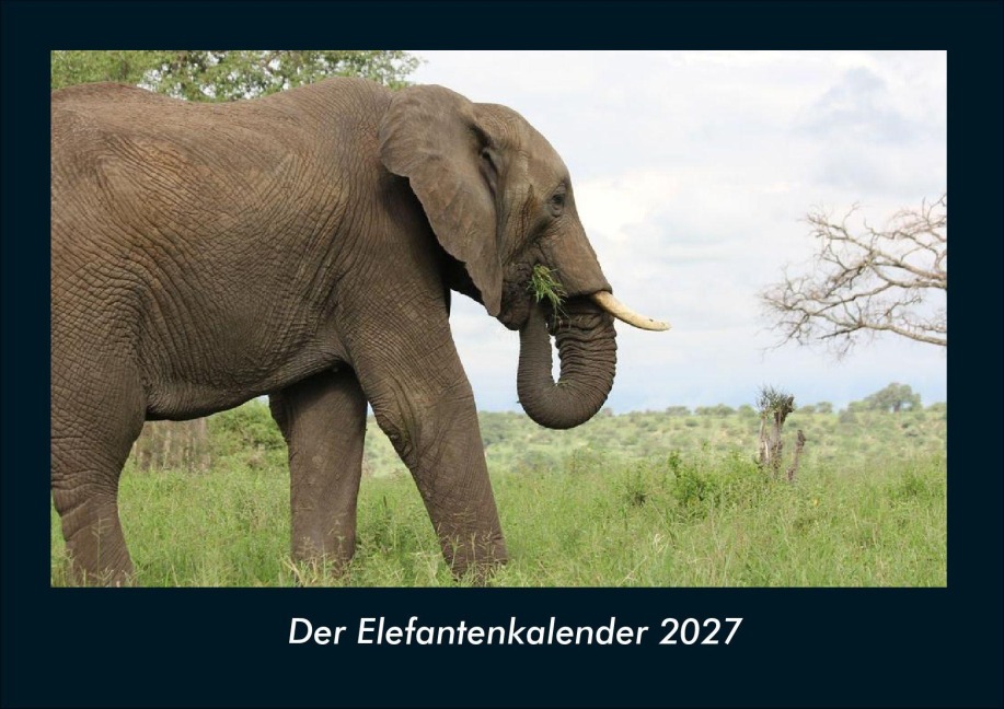 Der Elefantenkalender 2027 Fotokalender DIN A4 - Tobias Schmitt, Kevin Heber