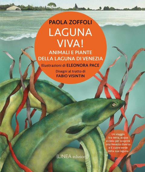 Laguna viva! Animali, piante e habitat della Laguna di Venezia - Paola Zoffoli