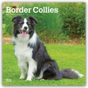 Cover-Bild zum Titel 'Border Collies 2027 - 16-Monatskalender' von 'Browntrout Publishers'
