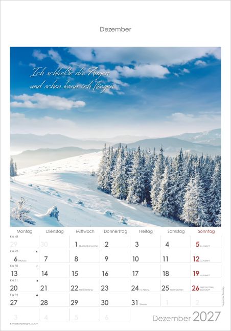 InsideView 6