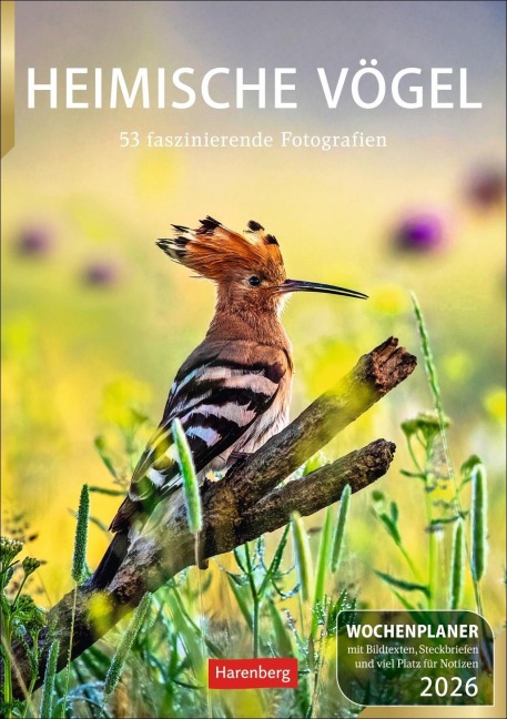 Heimische Vögel Wochenplaner 2026 - 53 faszinierende Fotografien - Markus Hattstein