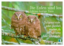 Cover-Bild zum Titel 'Die Eulen sind los: Edition lustige Tiere (Wandkalender 2026 DIN A4 quer), CALVENDO Monatskalender' von 'Calvendo Calvendo'