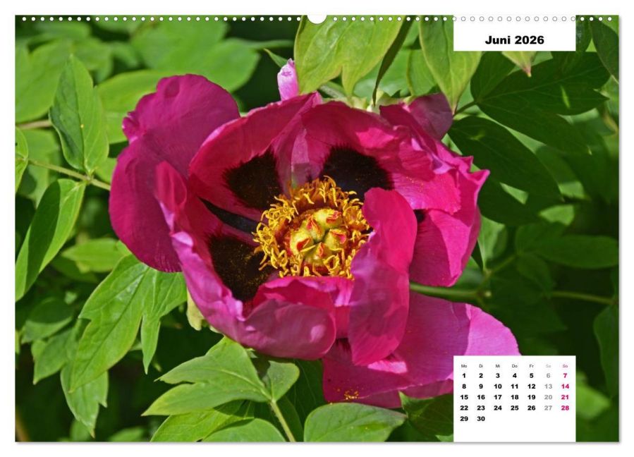 InsideView 11