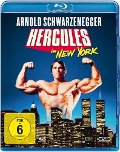 Cover-Bild zum Titel 'Hercules in New York' von 'Aubrey Wisberg, John Balamos'