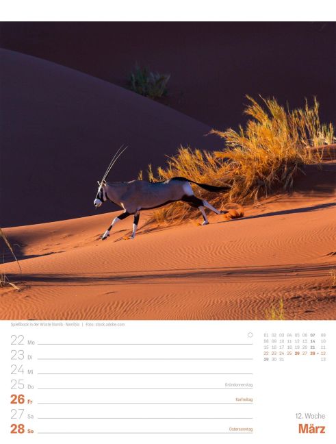 InsideView 16