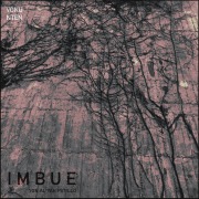 Cover-Bild zum Titel 'Imbue' von 'Aliyah Patillo, Aliyah Patillo'