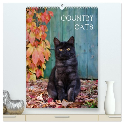 COUNTRY CATS (hochwertiger Premium Wandkalender 2024 DIN A2 hoch), Kunstdruck in Hochglanz - Katho Menden