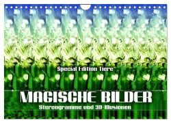 Cover-Bild zum Titel 'Magische Bilder - Stereogramme und 3D-Illusionen (Wandkalender 2026 DIN A4 quer), CALVENDO Monatskalender' von 'Renate Utz'
