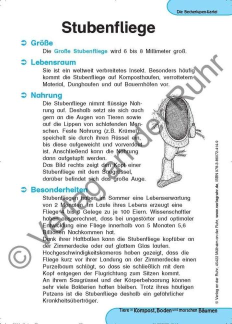 InsideView 8