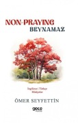 Cover-Bild zum Titel 'Non-Praying - Beynamaz' von 'Ömer Seyfettin'