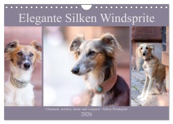 Elegante Silken Windsprite (Wandkalender 2026 DIN A4 quer), CALVENDO Monatskalender - Fotodesign Verena Scholze