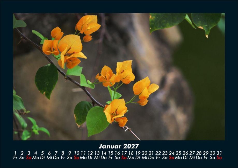 InsideView 5