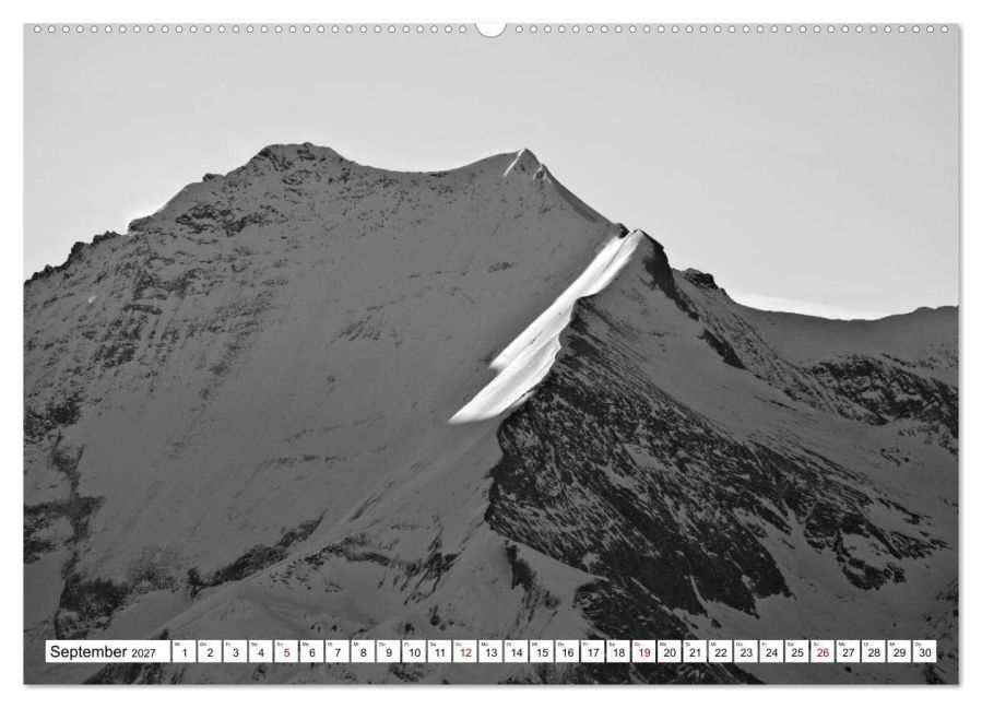 InsideView 14