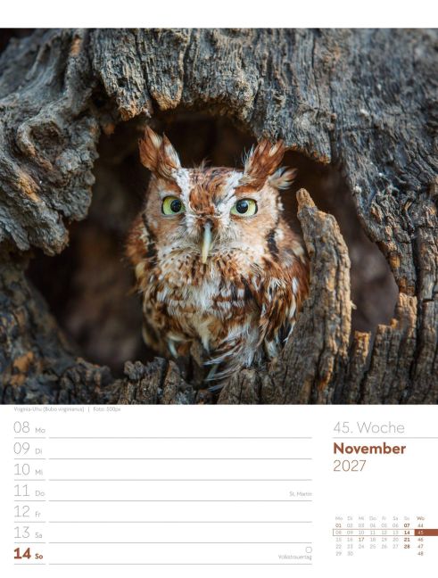 InsideView 49