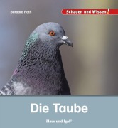 Cover-Bild zum Titel 'Die Taube' von 'Barbara Rath'