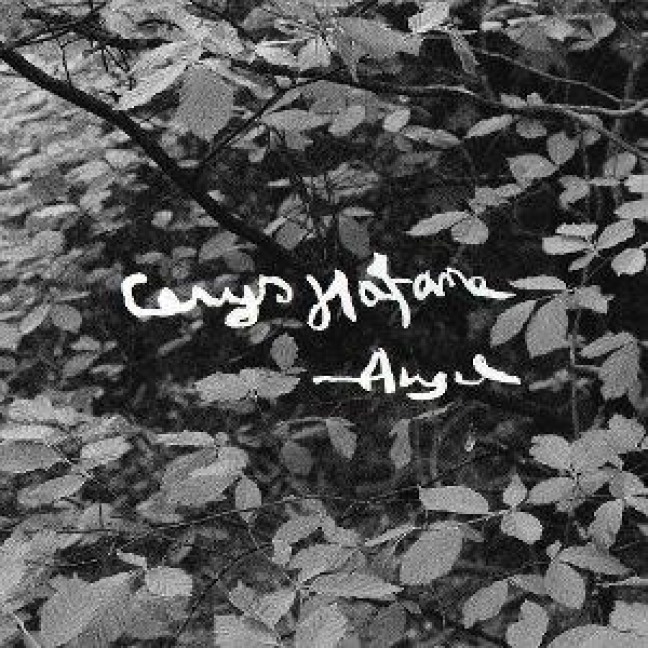 Angel - Cerys Hafana