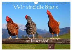 Wir sind die Stars am Bauernhof (Wandkalender 2026 DIN A4 quer), CALVENDO Monatskalender - Christa Kramer