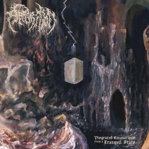 Disgraced Emanations From A Tranquil State - Apparition