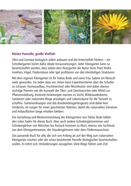 InsideView 6