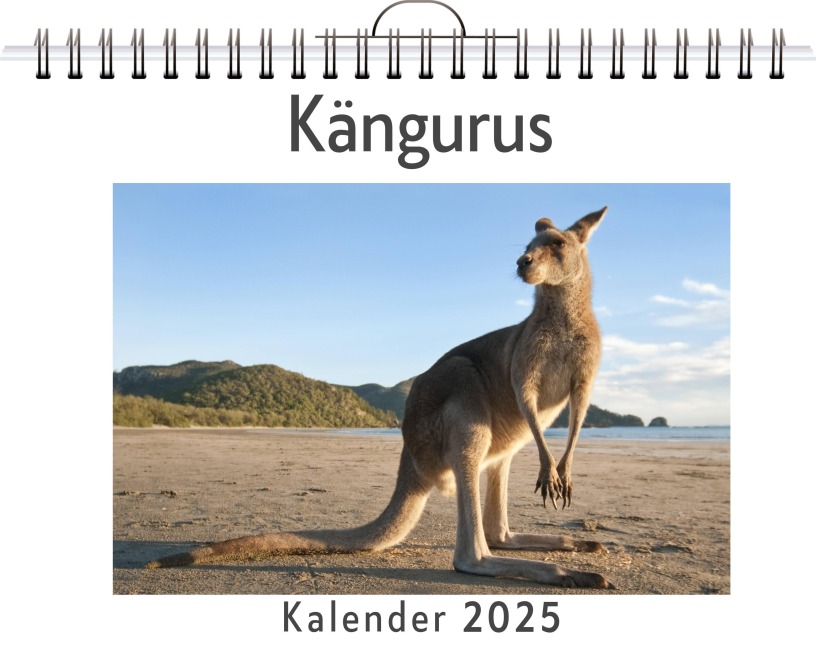 Kängurus - (Wandkalender 2025, Kalender DIN A4 quer, Monatskalender im Querformat mit Kalendarium, das perfekte Geschenk) - Louis Schmidt
