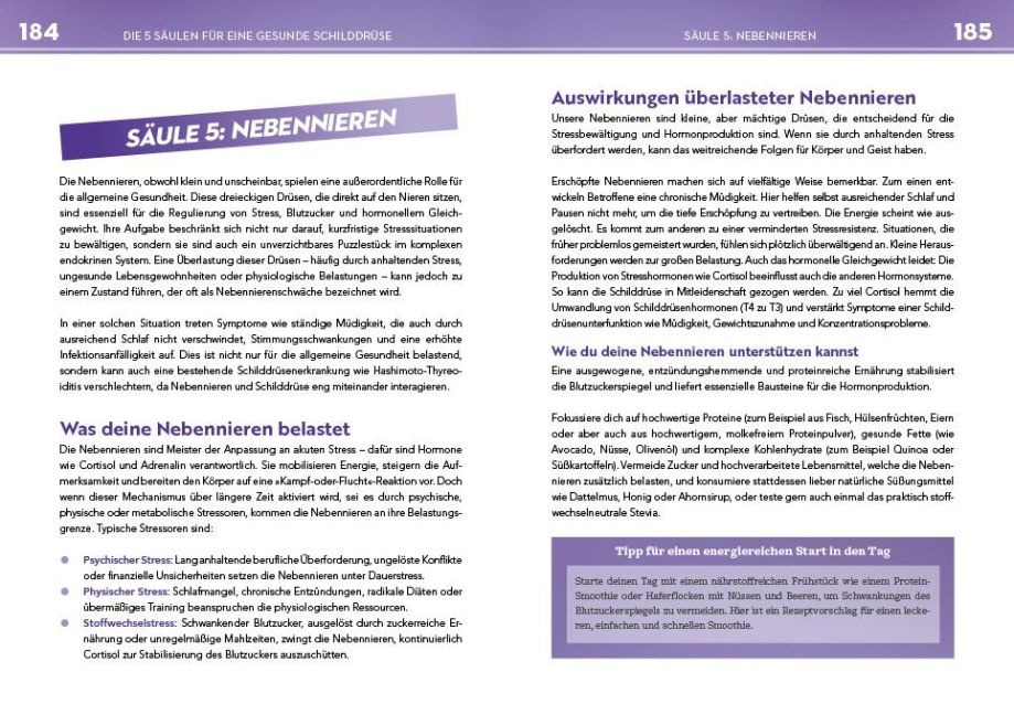 InsideView 6