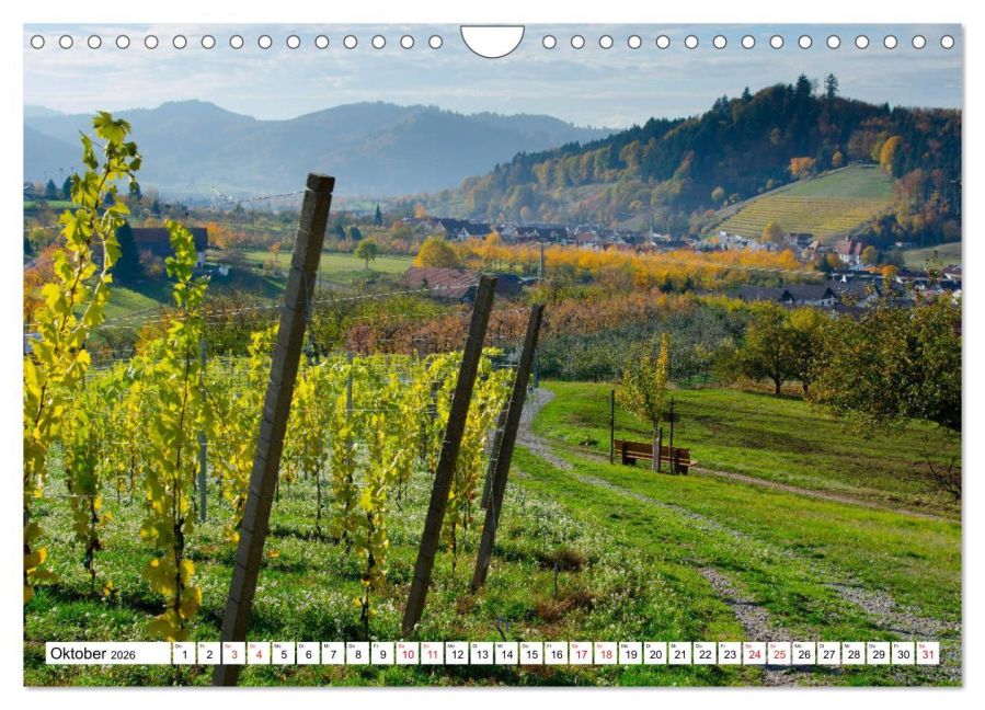 InsideView 2