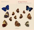 Cover-Bild zum Titel 'Il viaggio di Lucrezia: Galassi' von 'Mara Galassi'