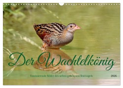 Cover-Bild zum Titel 'Der Wachtelkönig (Wandkalender 2026 DIN A3 quer), CALVENDO Monatskalender' von 'Leo Bucher'