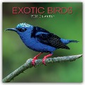 Exotic Birds - Exotische Vögel 2025 - 16-Monatskalender - Gifted Stationery Co. Ltd
