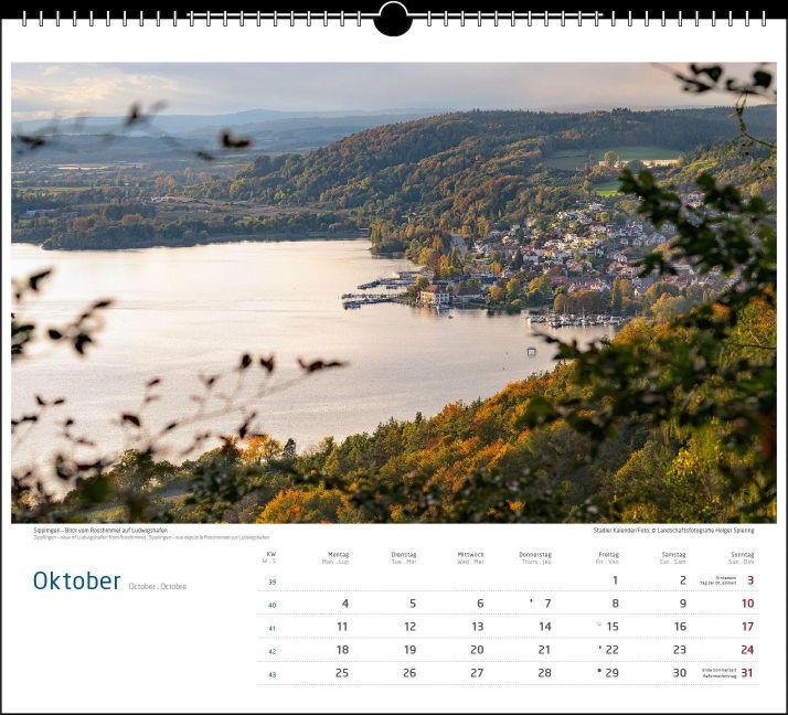 InsideView 10