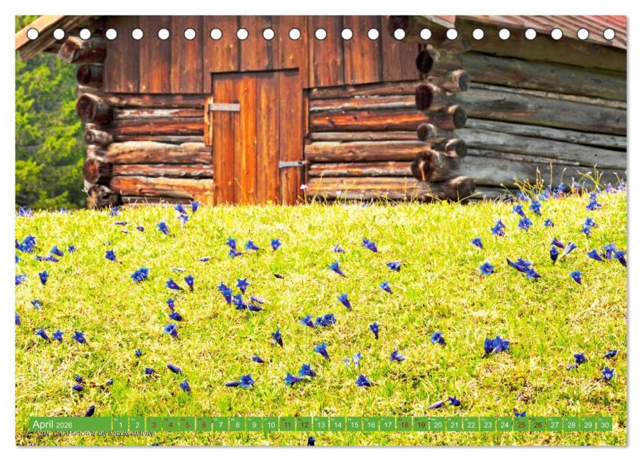 InsideView 9