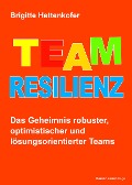 Cover-Bild zum Titel 'Team-Resilienz' von 'Brigitte Hettenkofer'