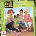 Die drei !!! 58: Gorilla in Not - Ann-Katrin Heger