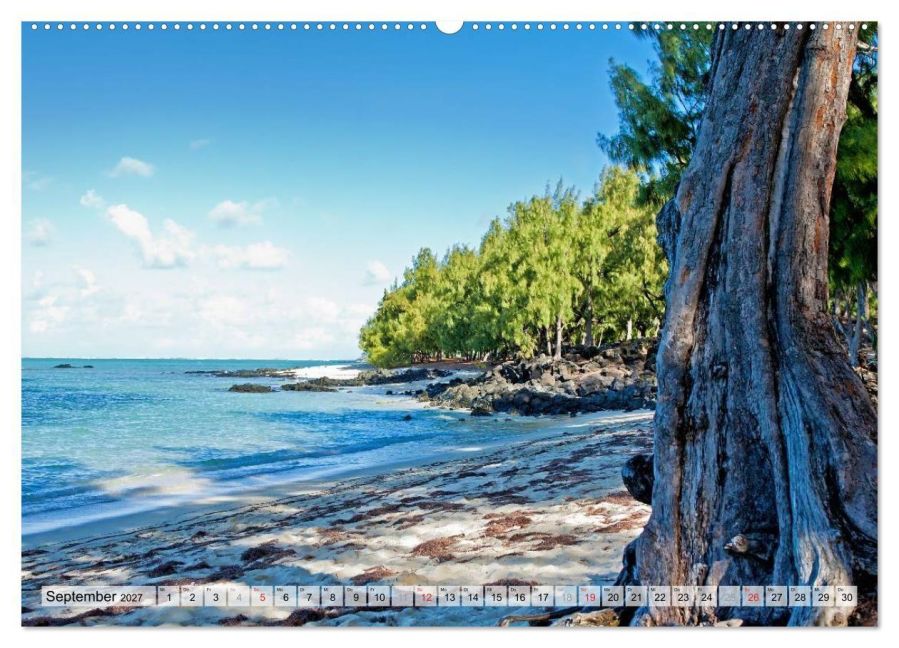 InsideView 13