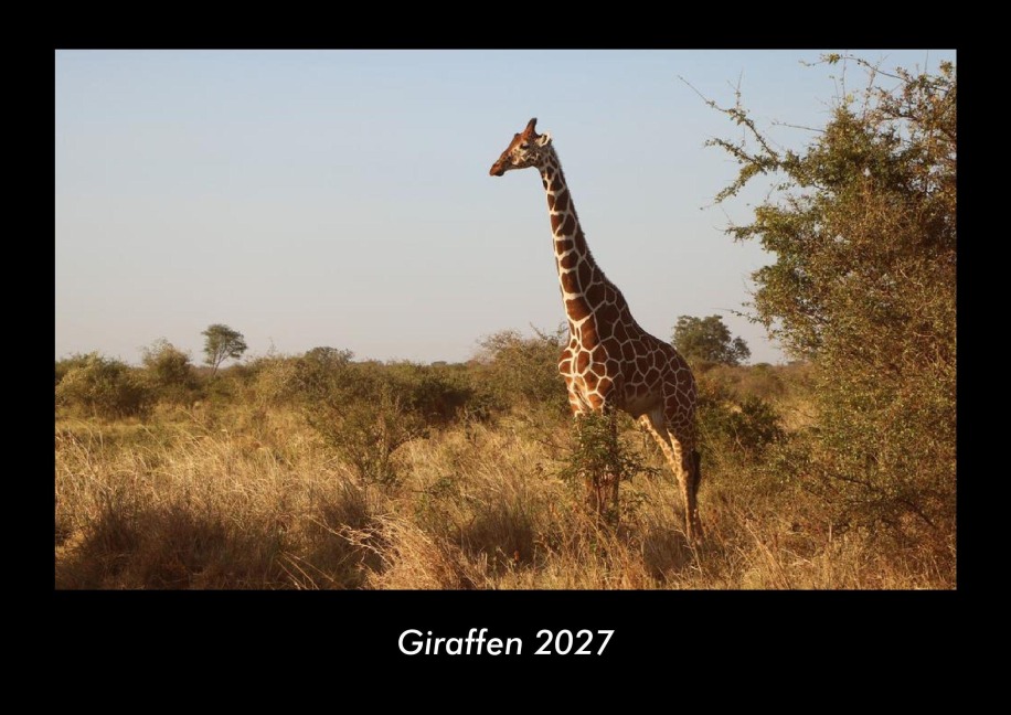 Giraffen 2027 Fotokalender DIN A3 - Tobias Becker