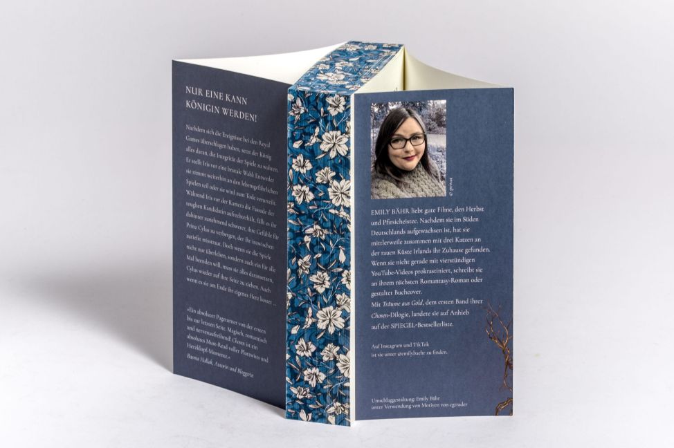 InsideView 4