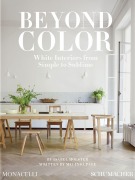 Cover-Bild zum Titel 'Beyond Color' von 'Isabel Molster, Melinda Page'