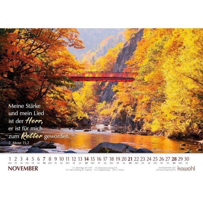 InsideView 11