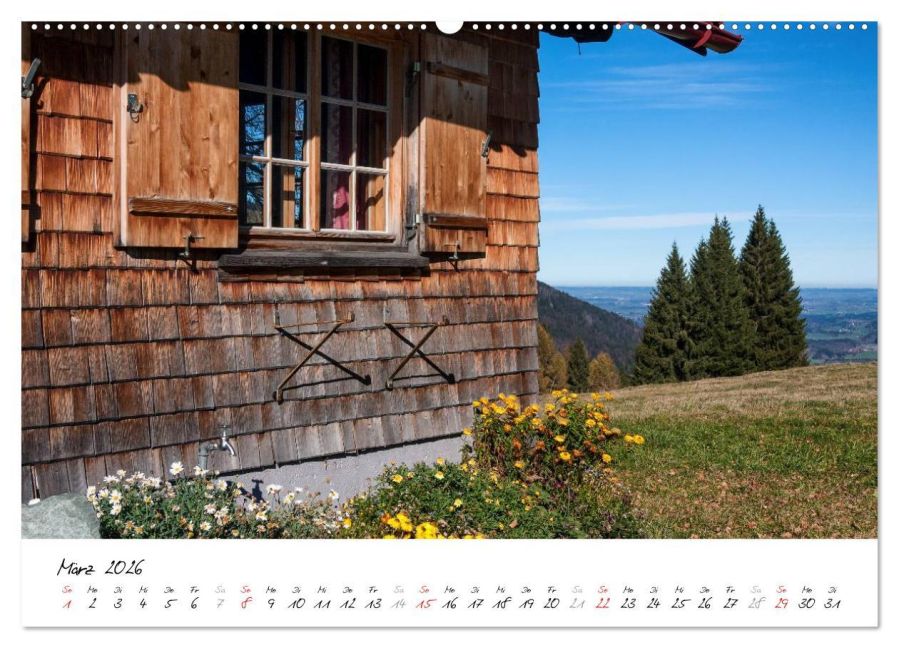 InsideView 8
