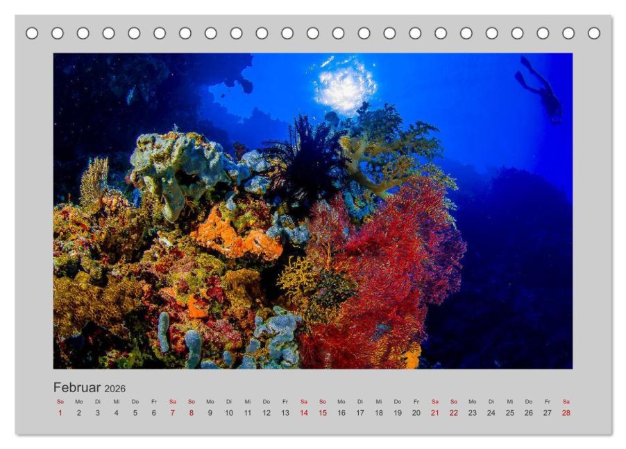 InsideView 7