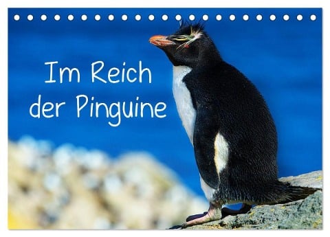 Im Reich der Pinguine (Tischkalender 2025 DIN A5 quer), CALVENDO Monatskalender - Hans-Gerhard Pfaff