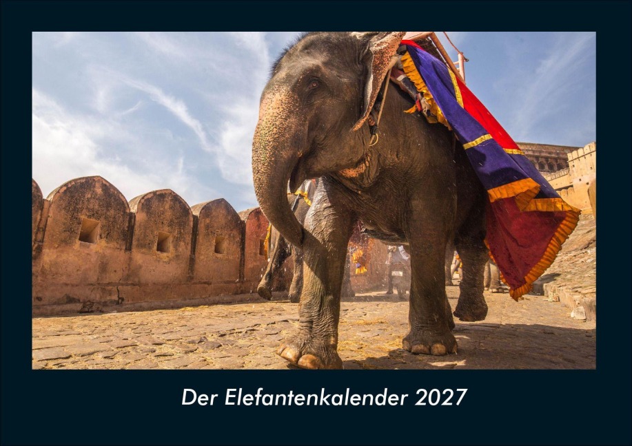 Der Elefantenkalender 2027 Fotokalender DIN A4 - Tobias Schmitt, Kevin Heber