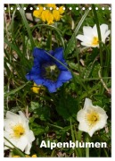 Cover-Bild zum Titel 'Alpenblumen (Tischkalender 2025 DIN A5 hoch), CALVENDO Monatskalender' von 'Willi Haas'
