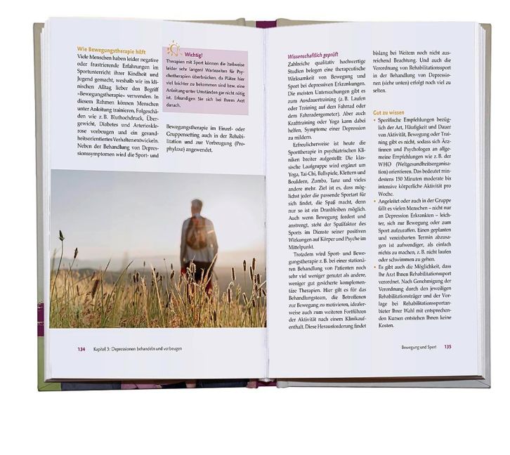 InsideView 4